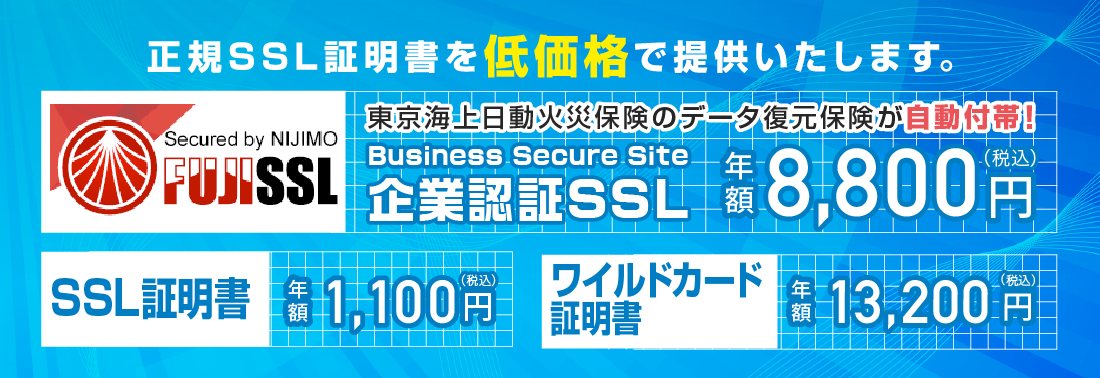 Sslストア Rapidssl 1 620円 Symantec 53 000円 Geotrust 11 880円